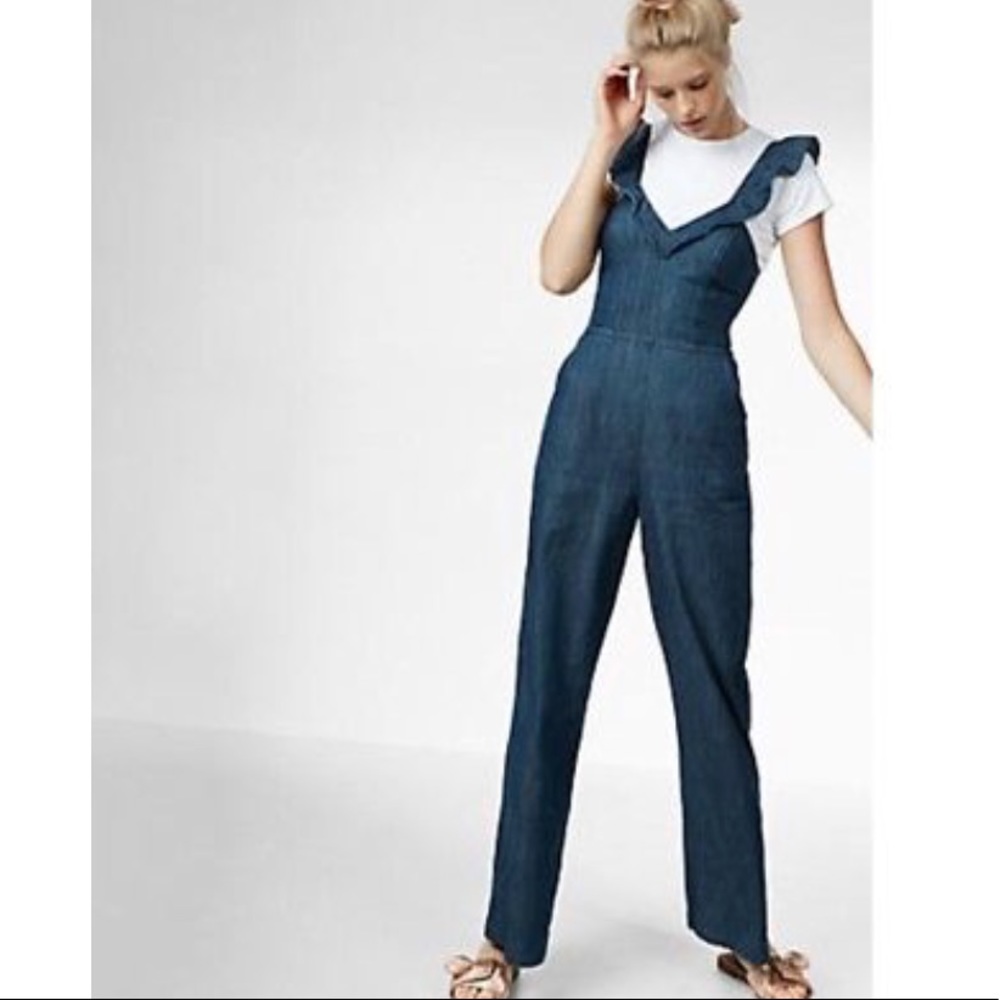 Express Denim Jumpsuit